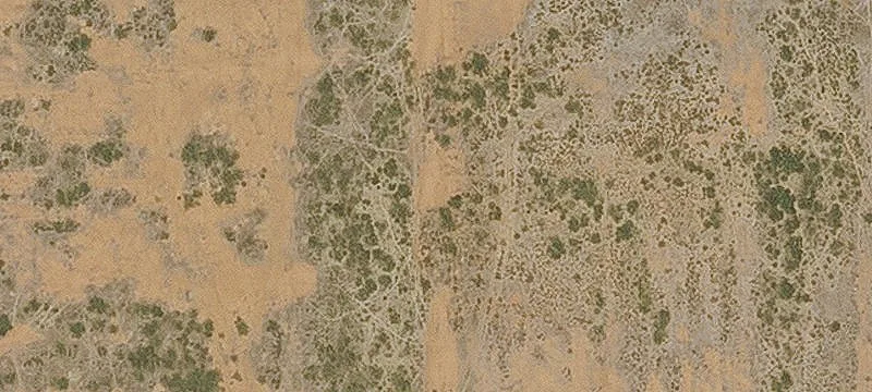 Bowie, AZ 85605