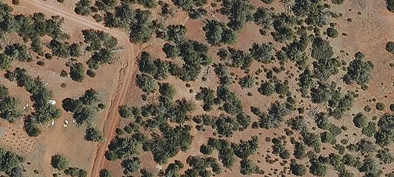 Seligman, AZ 86337