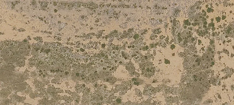 Bowie, AZ 85605