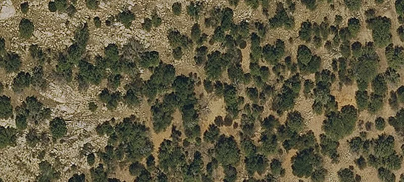 Patagonia, AZ 85624