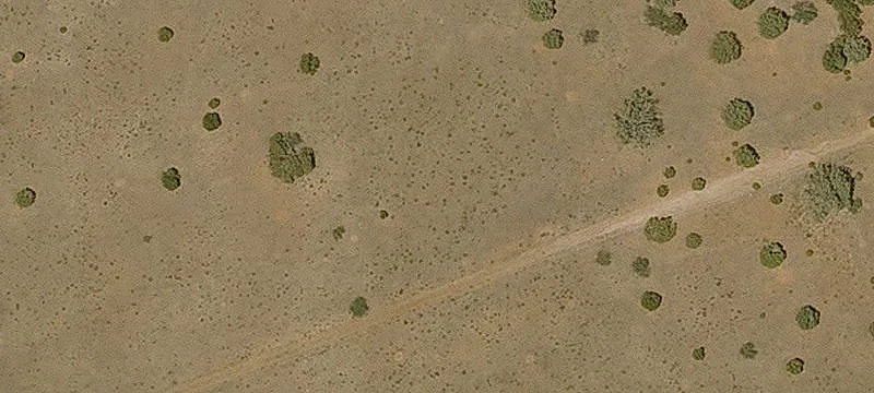 Seligman, AZ 86337