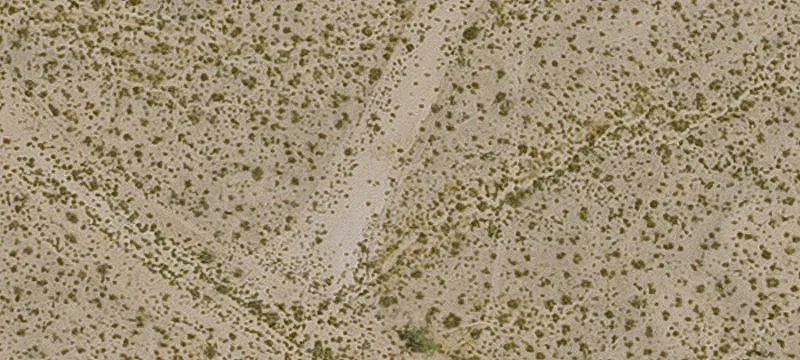 Yucca, AZ 86438