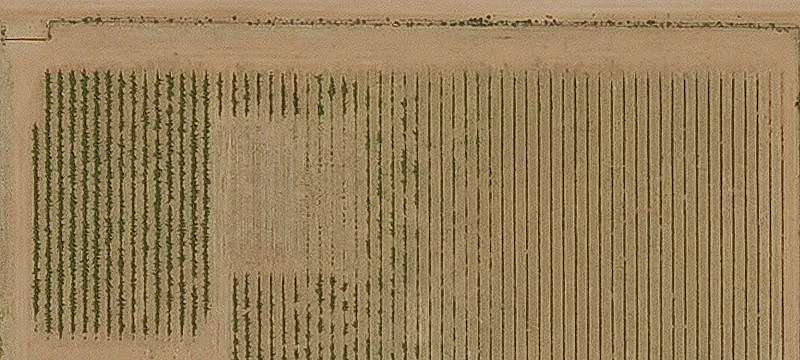 Pearce, AZ 85625
