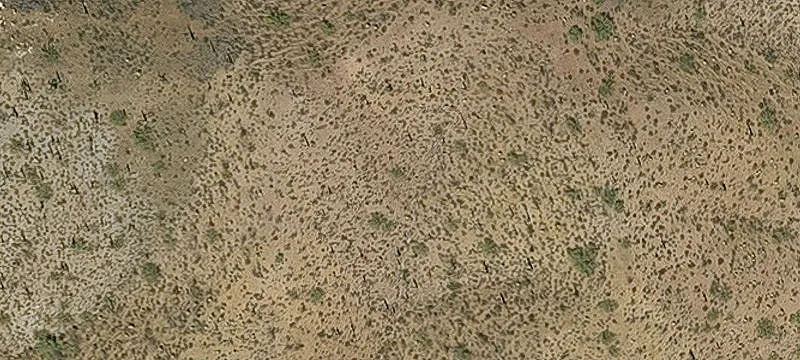 Florence, AZ 85132