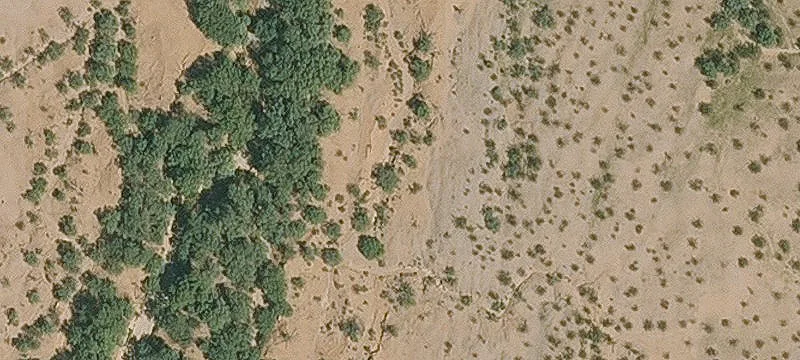 Marana, AZ 85653