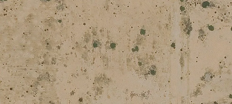 Tonopah, AZ 85354