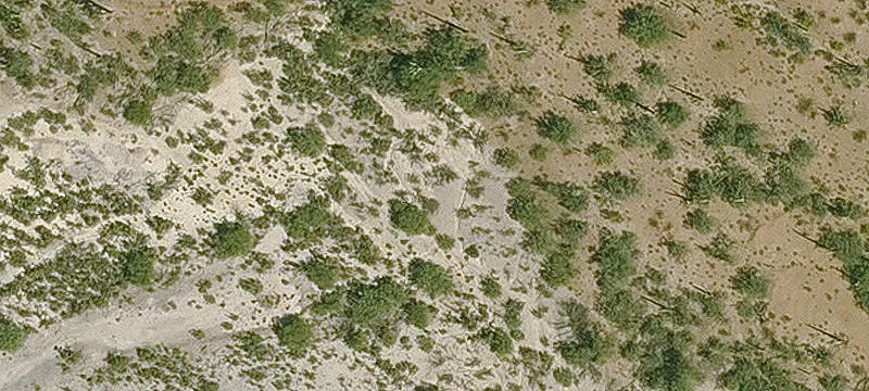 Marana, AZ 85653