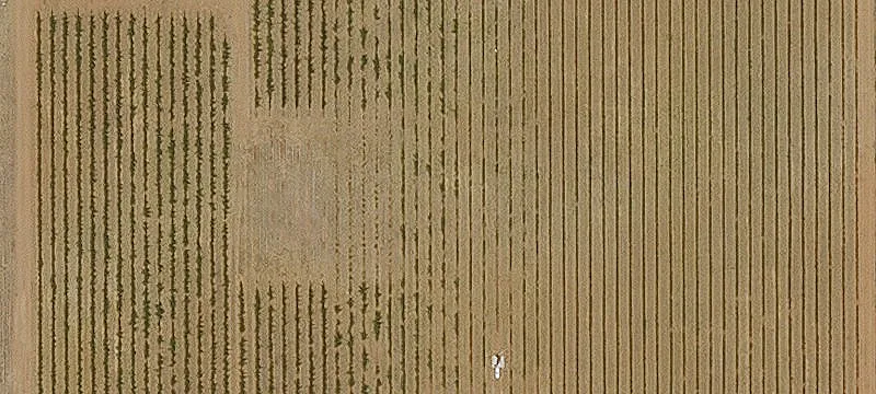 Pearce, AZ 85625