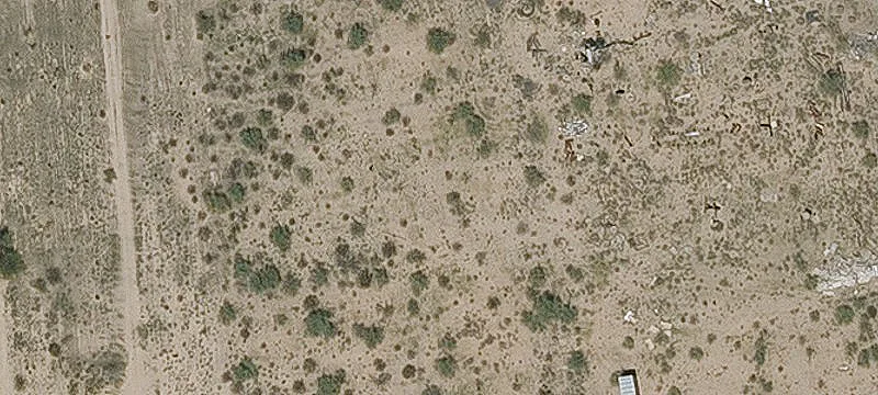 10221 Tangerine Rd