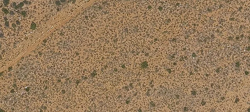 Chloride, AZ 86431