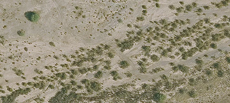 Florence, AZ 85132