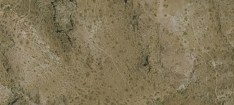 Oatman, AZ 86433