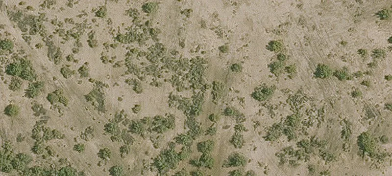 Mohave Valley, AZ 86440
