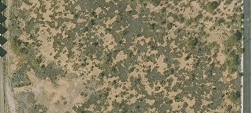 Tucson, AZ 85747