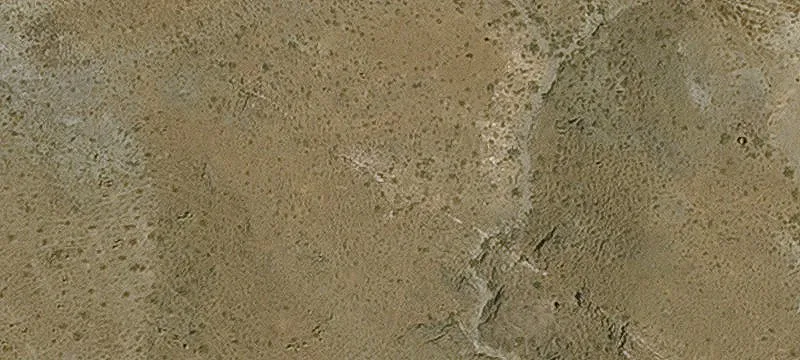 Oatman, AZ 86433