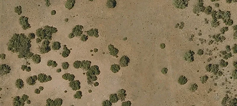 Seligman, AZ 86337