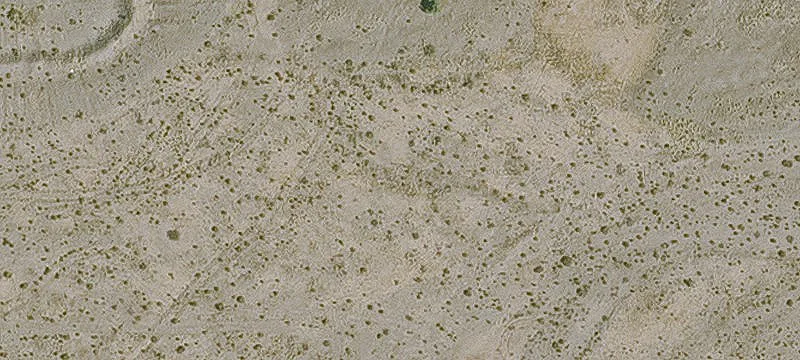 Florence, AZ 85132