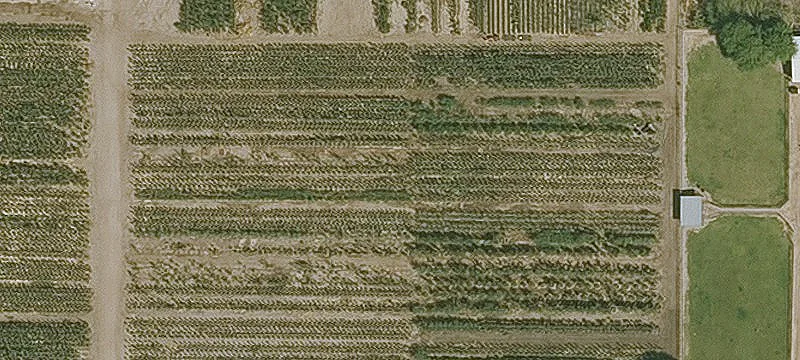 San Tan Valley, AZ 85140