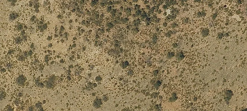Patagonia, AZ 85624