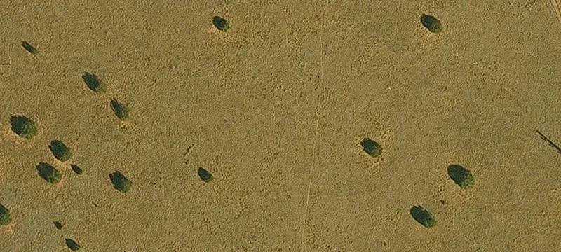 Show Low, AZ 85901