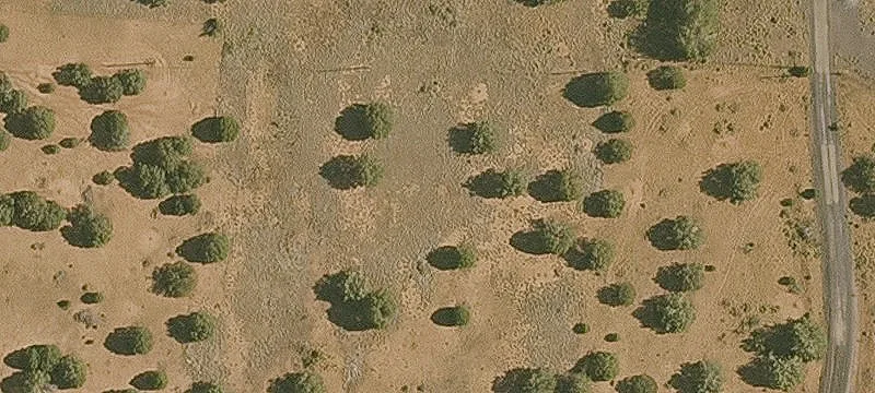 Ash Fork, AZ 86320