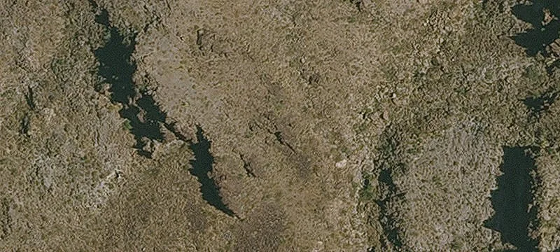 Oatman, AZ 86433