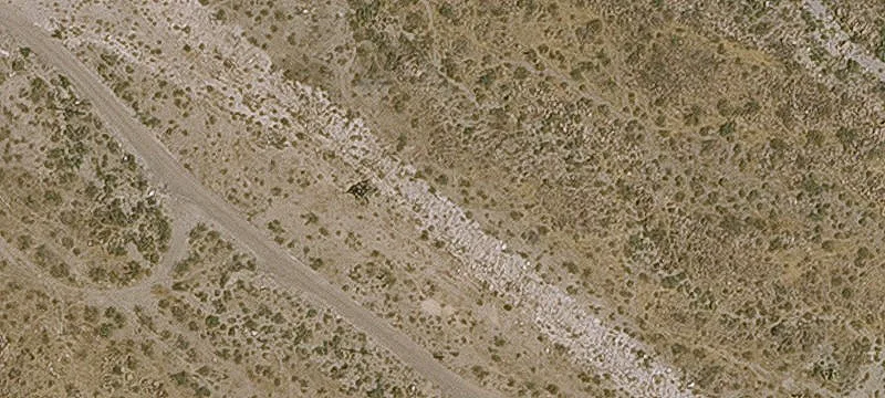 Oatman, AZ 86433