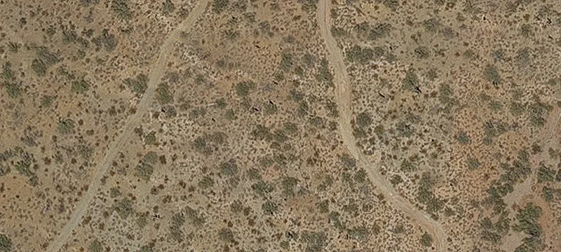Wickenburg, AZ 85390