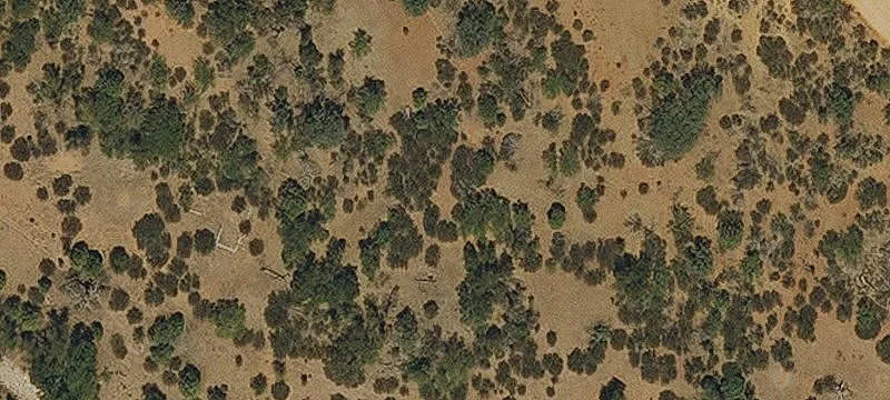 Patagonia, AZ 85624