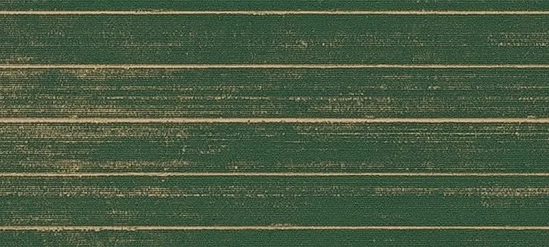 Buckeye, AZ 85326