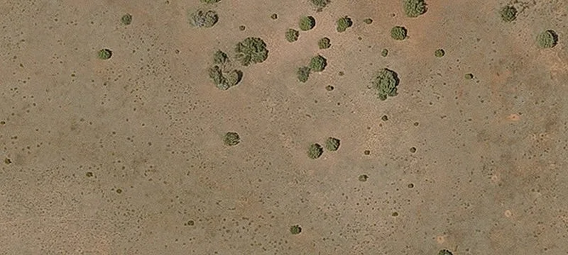 Seligman, AZ 86337