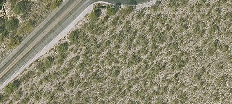 Tucson, AZ 85750