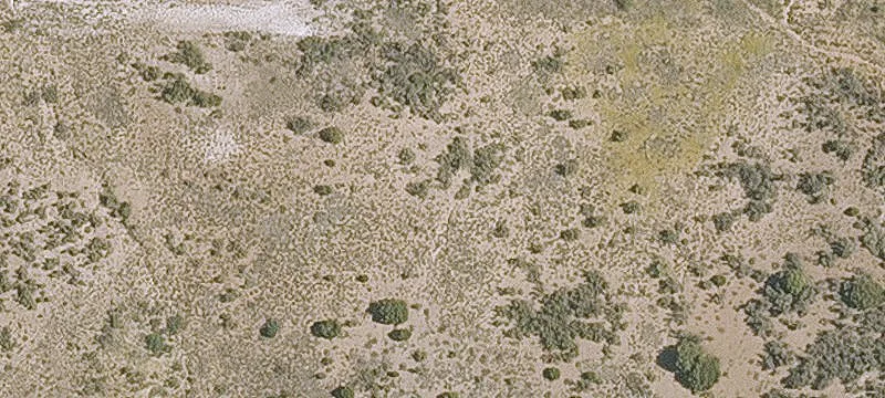 Cornville, AZ 86325