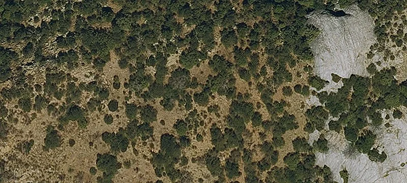 Patagonia, AZ 85624