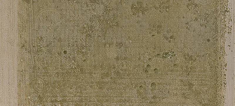 Goodyear, AZ 85338