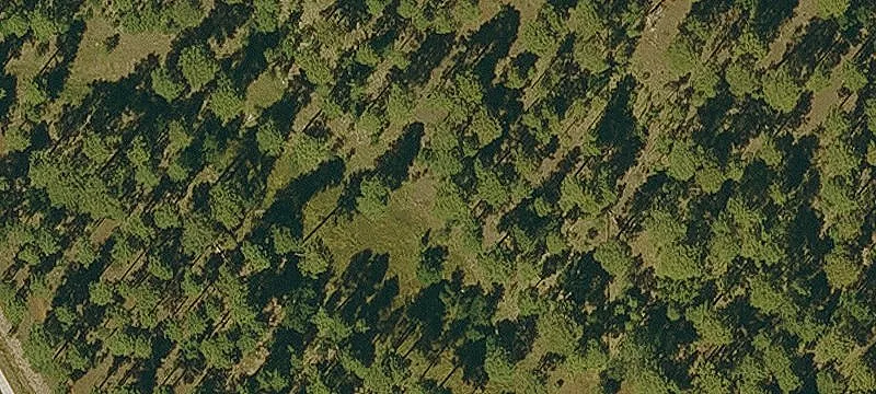Pinetop, AZ 85935