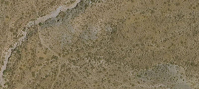 Oatman, AZ 86433