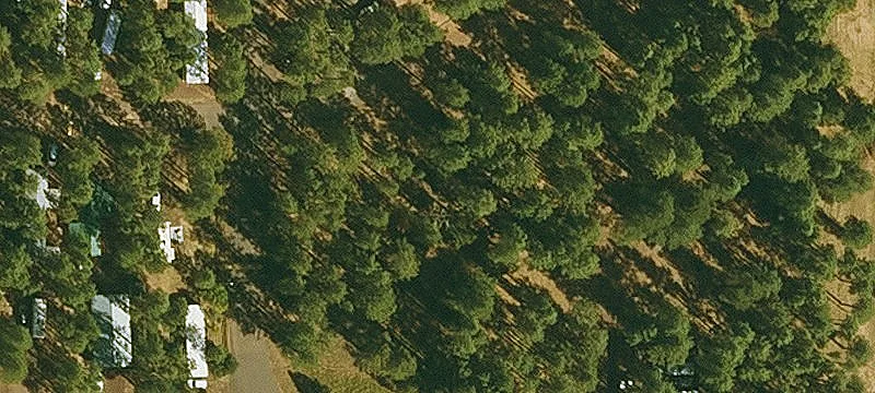 White Mtn Rd