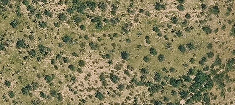 Sahuarita, AZ 85629