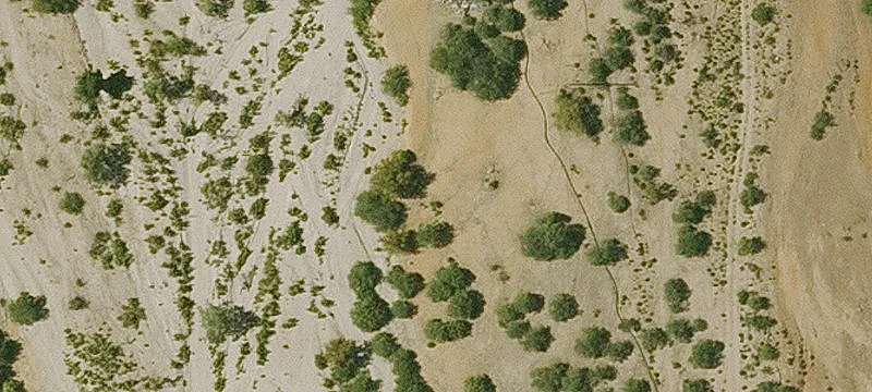 Globe, AZ 85501