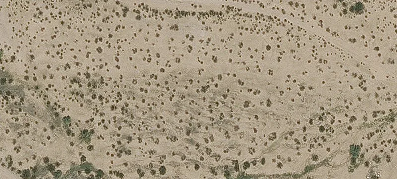 Marana, AZ 85653