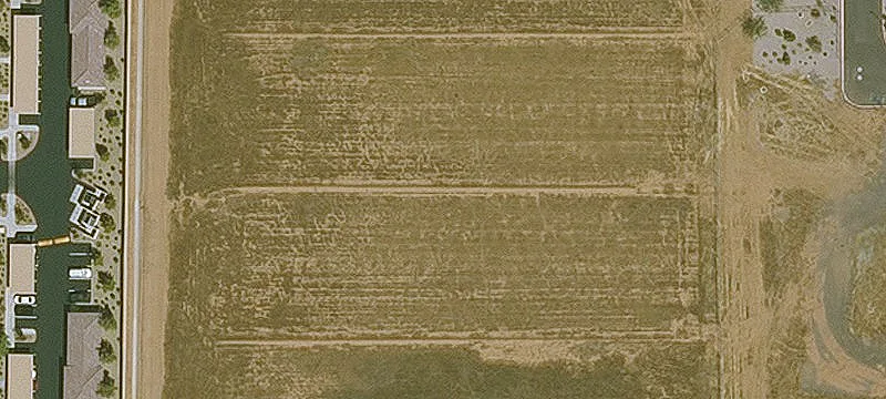 Mesa, AZ 85206