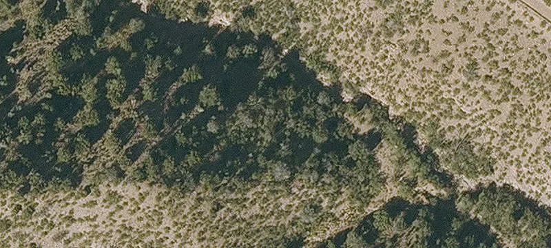 Globe, AZ 85501