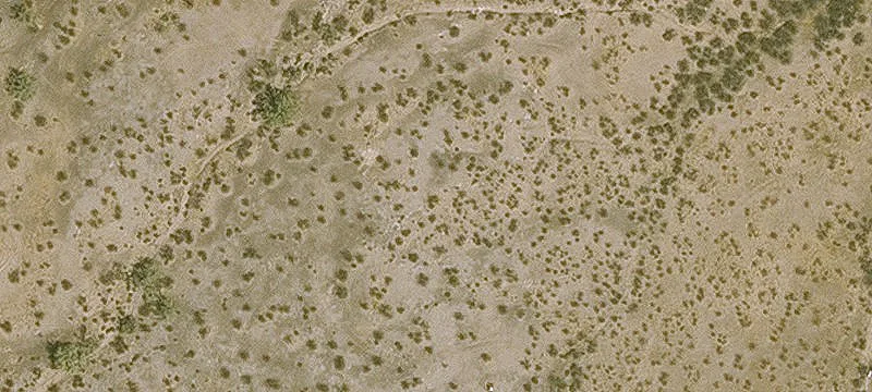 Florence, AZ 85132