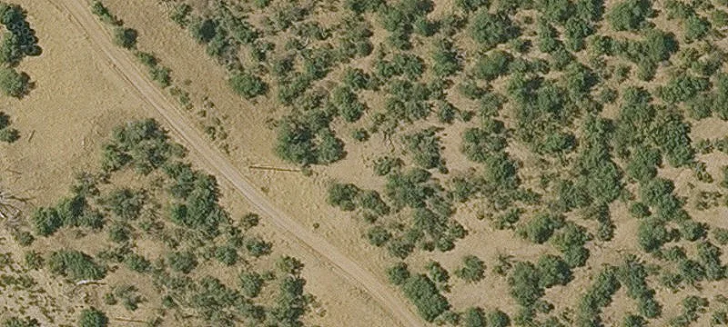 Globe, AZ 85501