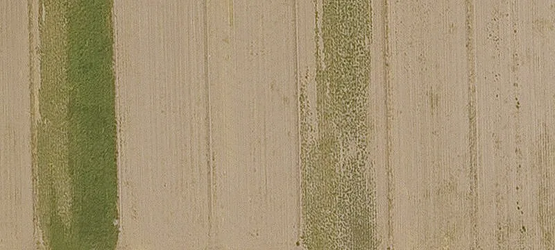 Tolleson, AZ 85353
