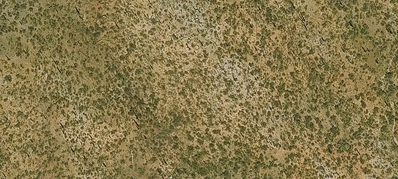 Marana, AZ 85653