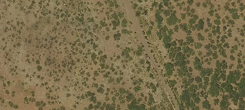 Douglas, AZ 85607