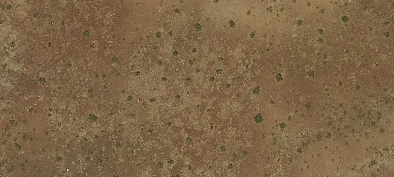 Douglas, AZ 85607