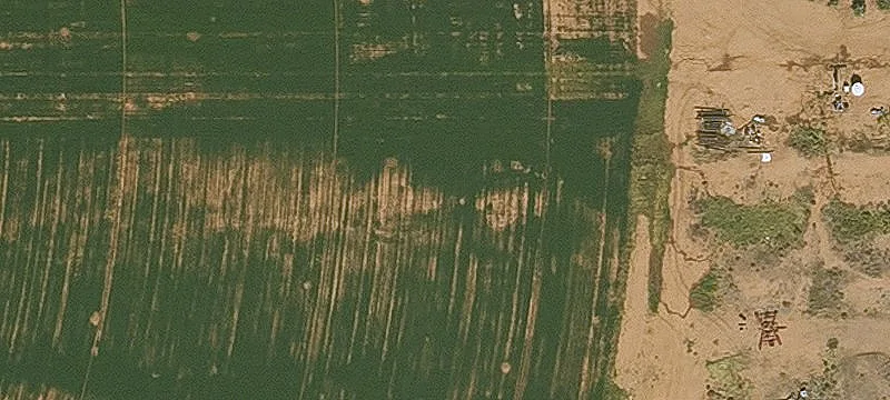 Elfrida, AZ 85610